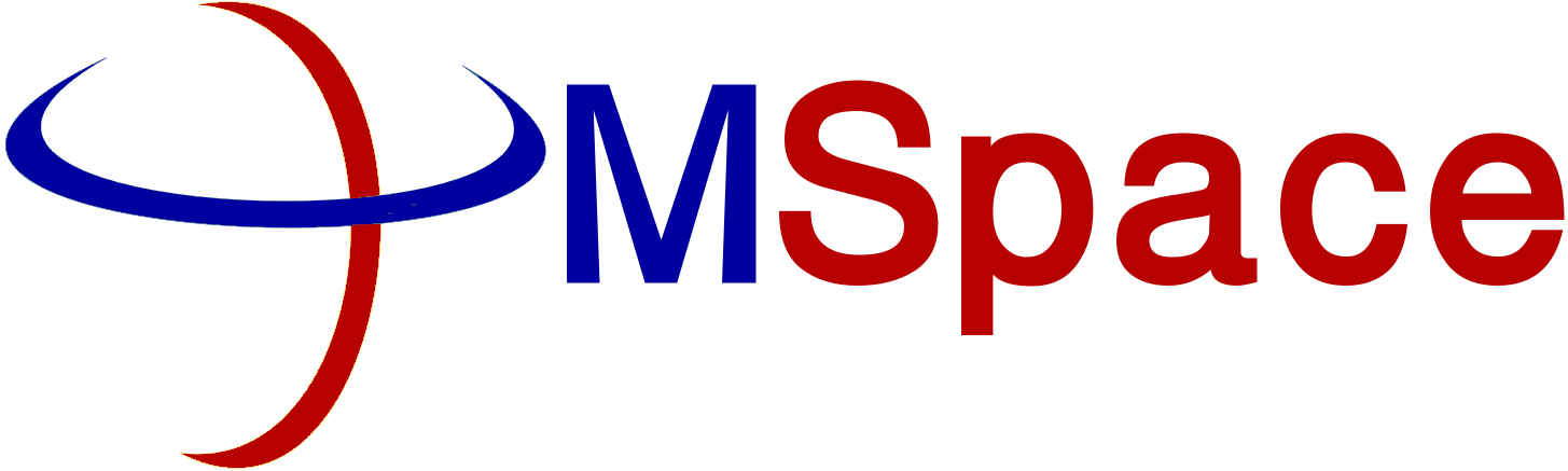 Customer Support - MSpace Solutions Ltd
